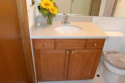 Main and Guest Bathroom — Home Renovation & Remodeling Services project by Double J Construction Inc Dba Double J Renovations
