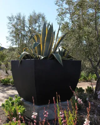 Alpine Special Event Site — Landscape Design project by Carson Douglas Landscape Architecture in Alpine
