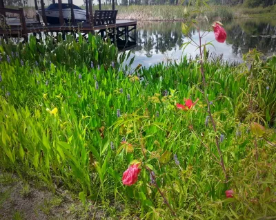 Grimes Conservation Group - Landscape Construction in Orlando, FL