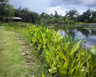 Grimes Conservation Group - Landscape Construction in Orlando, FL
