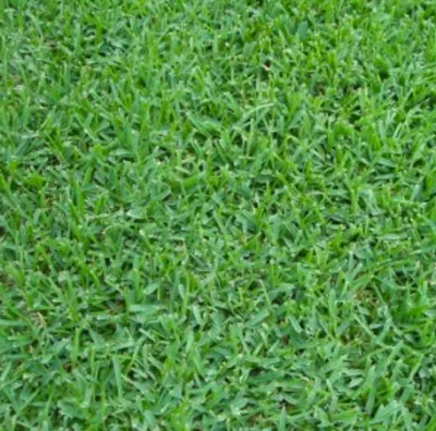 The Grasspatch - Landscape Maintenance in Leander, TX