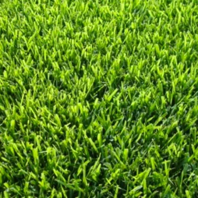 The Grasspatch - Landscape Maintenance in Leander, TX