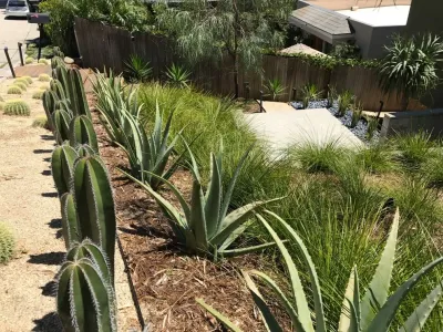 Birdrock Midcentury — Landscape Design project by Carson Douglas Landscape Architecture in San Diego