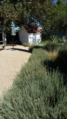 The Watering Hole — Landscape Design project by Carson Douglas Landscape Architecture