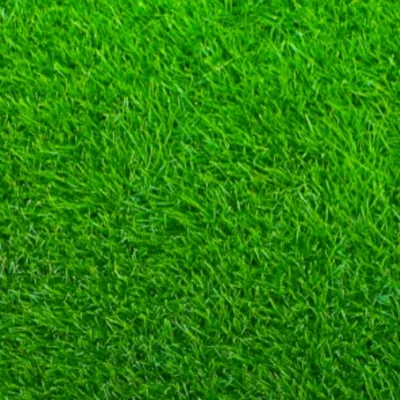 The Grasspatch - Landscape Maintenance in Leander, TX