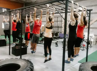 Monkey Bar Fitness Equipment for Home — Home Renovation & Remodeling Services project by Pascetti Steel Design, Inc.