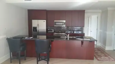 Condo Kitchen in the Museum District — Home Renovation & Remodeling Services project by Cabinetry & Construction, Inc.
