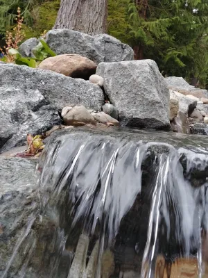 Cascadecopia, LLC - Garden Remodeling in Olympia, WA