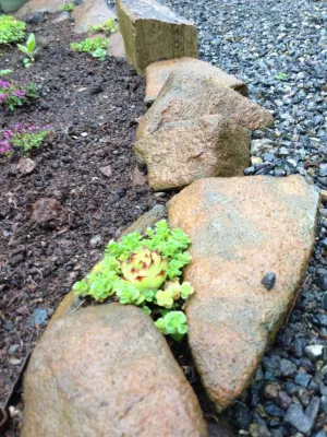 creative edging — Landscape Design project by Cascadecopia, LLC