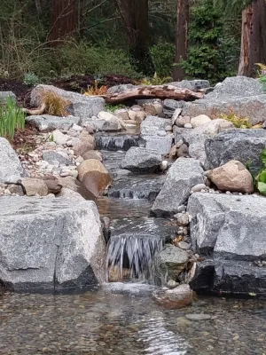 Cascadecopia, LLC - Garden Remodeling in Olympia, WA