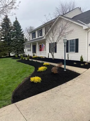 Tropical Landscaping - Landscape Maintenance in Lorain, OH