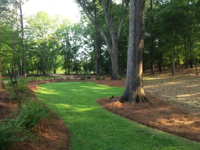 Hartley Landscape - Landscape Construction in Madison, MS