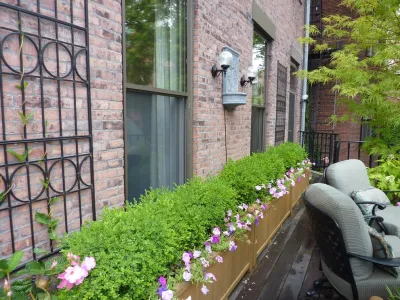 Beacon Hill Roof Deck — Landscape Design project by CBA Landscape Architects, LLC