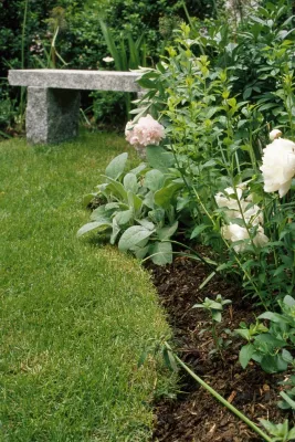 Brookline Entry Garden — Landscape Design project by CBA Landscape Architects, LLC