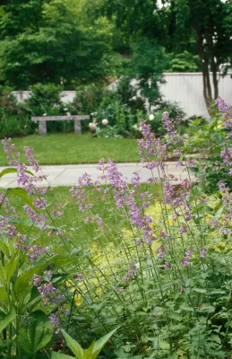CBA Landscape Architects, LLC - Landscape Design in Cambridge, MA