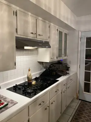 Eternal Spring in the Kitchen — Kitchen Remodeling project by Haute Designs