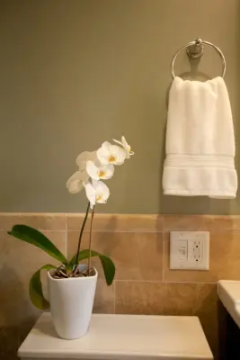 Nest Designs LLC - Countertop Installation Services in Dayton, OH
