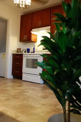 Accent Design & Renovations LLC - Countertop Installation Services in Honolulu, HI