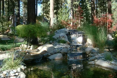 Ferris — Landscape Construction project by High Sierra Gardens Inc.