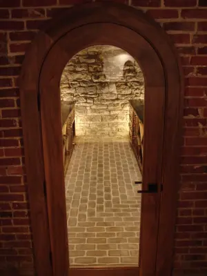 1880s Limestone Cellar Renovation — Kitchen Remodeling project by Studio H2O/PSC Distribution