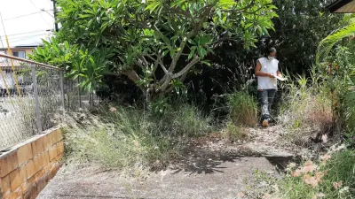 High tier cleaning co. - Landscape Construction in Honolulu, HI
