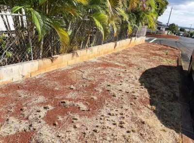 High tier cleaning co. - Landscape Construction in Honolulu, HI
