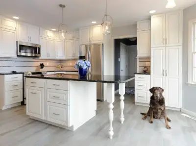 Luminous Welcoming Kitchen — Kitchen Remodeling project by Excel Remodeling