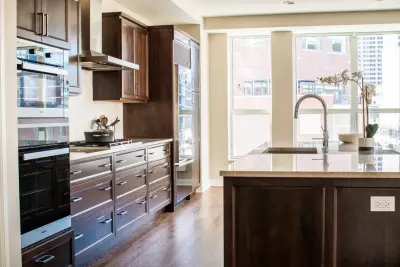 Downtown Chicago — Kitchen Remodeling project by Dimon Designs, LLC
