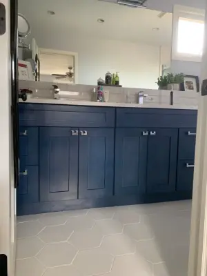 Chicago Luxury Bathroom — Kitchen Remodeling project by Dimon Designs, LLC