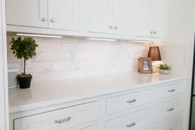 Timeless Vintage Blue Pantry — Kitchen Remodeling project by Traci Rauner Design