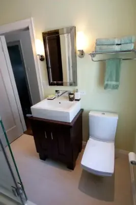 Denise Hauser Design Co. - Interior Design & Decorating in Oak Park, IL