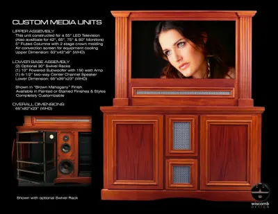 Bespoke Media Module — Kitchen Remodeling project by Wiscomb Design, LLC.