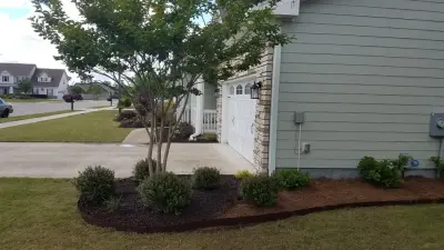 Allied Services NC, LLC - Tree & Shrub Care in Wilmington, NC