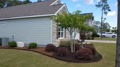 Allied Services NC, LLC - Tree & Shrub Care in Wilmington, NC