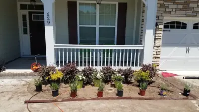 Allied Services NC, LLC - Tree & Shrub Care in Wilmington, NC