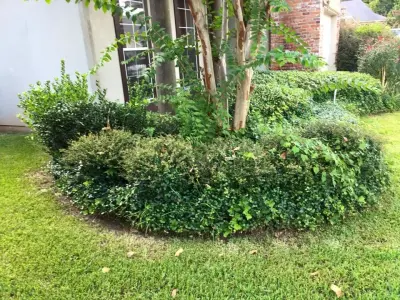 A&J Advanced Lawn Care Services - Tree & Shrub Care in Shreveport, LA