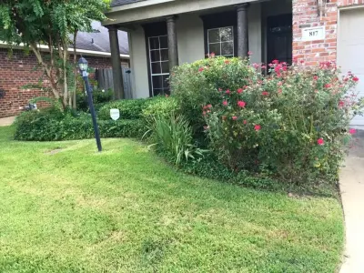 A&J Advanced Lawn Care Services - Tree & Shrub Care in Shreveport, LA