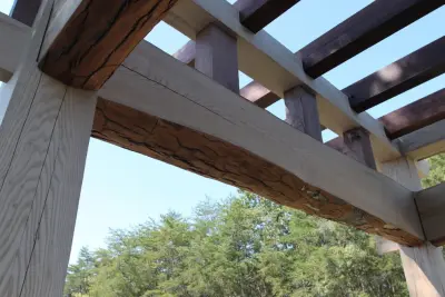 Oriental-Inspired Pergola — Design-Build Services project by Homestead Timber Frames