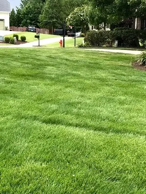 Turf Works - Landscape Construction in Raleigh, NC