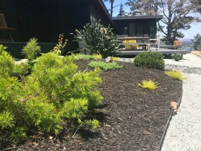TIBURON ZEN — Landscape Design project by CFLD Landscape Design