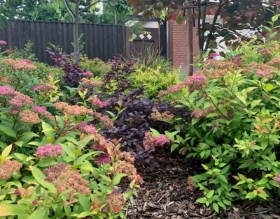 LOSE THE LAWN FRONT YARD — Landscape Design project by CFLD Landscape Design