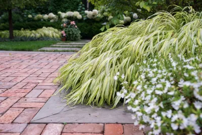 Chalet - Landscape Maintenance in Willmette, IL
