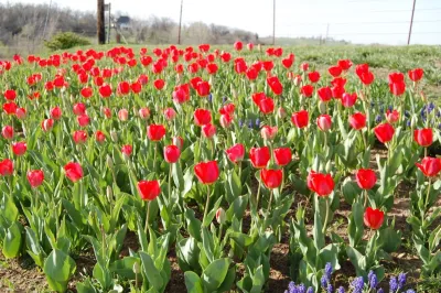 Urban Lawncare - Landscape Maintenance in Atchison, KS