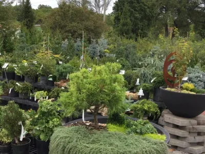 Iowa City Landscaping & Garden Center - Landscape Construction in Iowa City, IA