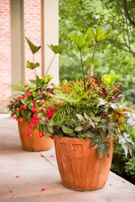 Chalet - Landscape Maintenance in Willmette, IL