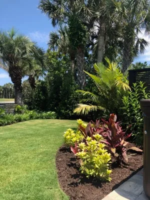 Ponte Vedra Beach Client — Landscape Construction project by Vie Plant And Garden Design in Ponte Vedra Beach