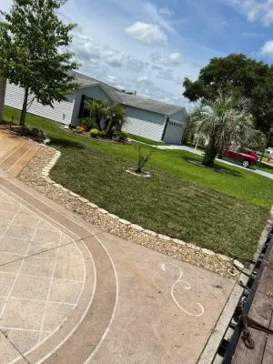 Chessari Sod Services and Landscape LLC - Tree & Shrub Care in Lady Lake, FL
