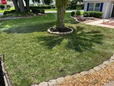 Chessari Sod Services and Landscape LLC - Tree & Shrub Care in Lady Lake, FL