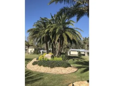 Vie Plant and Garden Design - Patio Design & Installation in Jacksonville Beach, FL