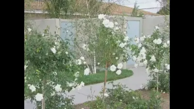 Bixby Knolls - Cerritos Drive — Design-Build Services project by OCTOBER 5 Fine Home Builders